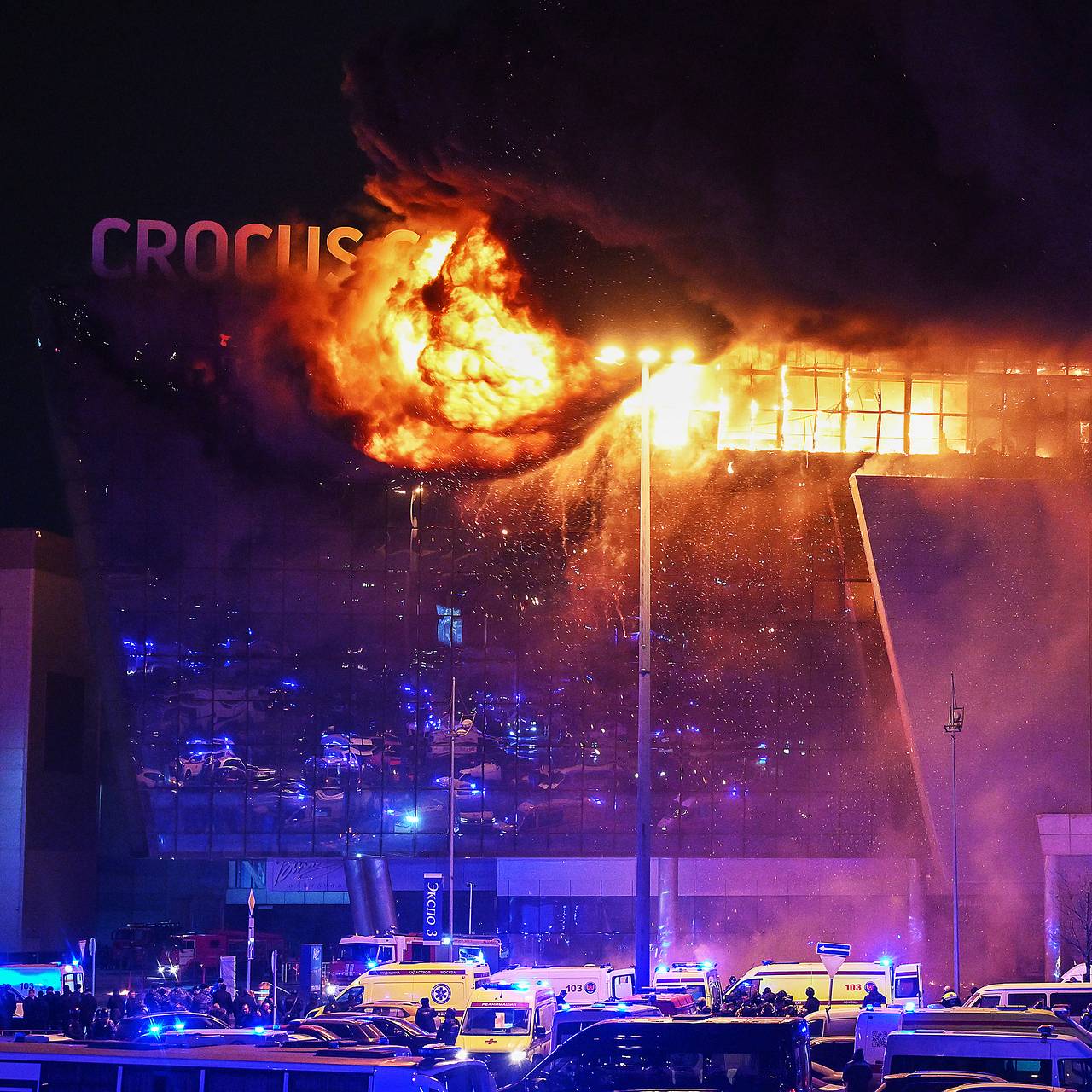 Гров