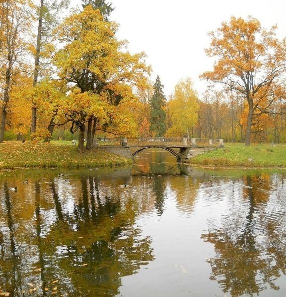 Как пронзительно светел день.
