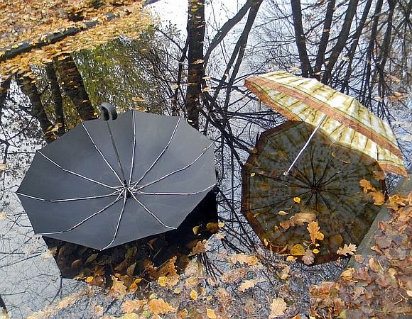 пойдем по листьям… пошуршим