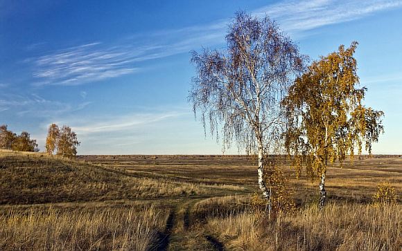 Прости, моя Россия