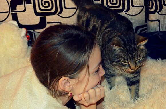 Кот