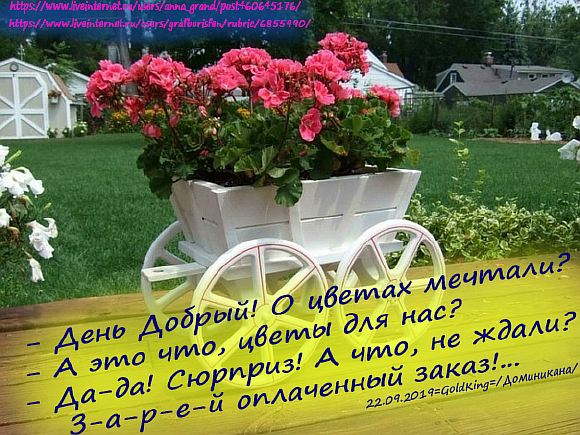 Букет на колесах