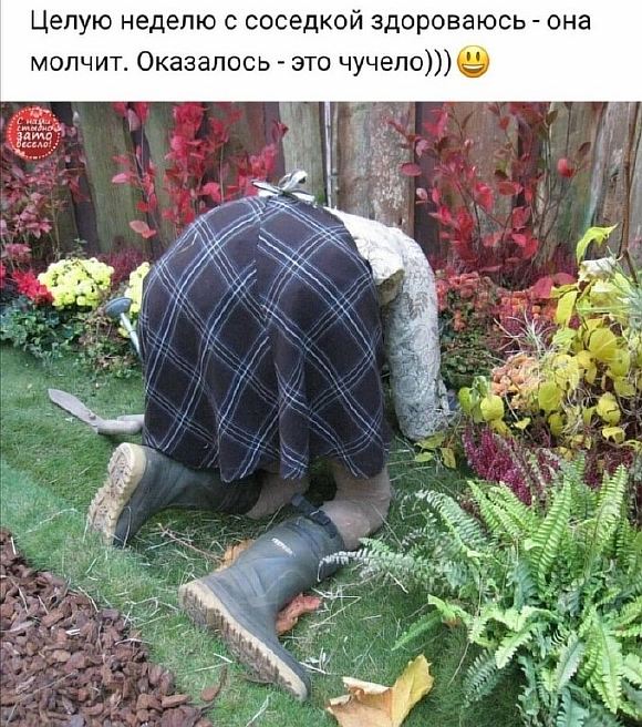 огородное (начало...))