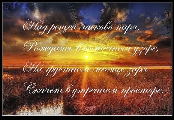 Нелюбимых обнимая