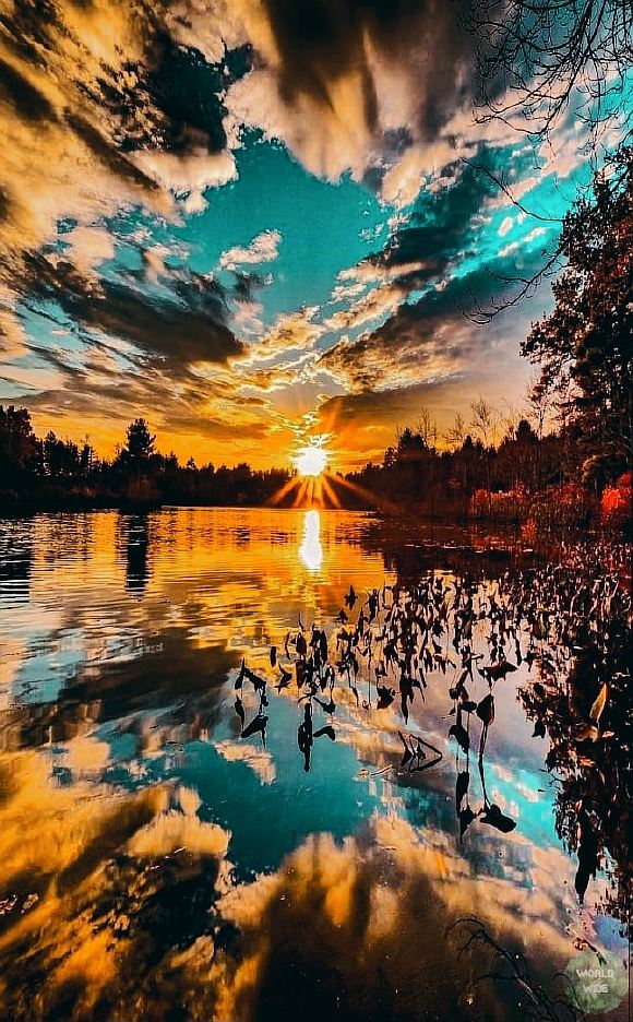 SunShineLove