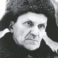 Стихи Варлама Шаламова
