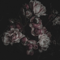 Стихи Moon Forgotten